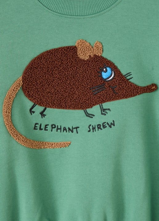 Mini Rodini Elephant Shrew sweater met borduring - detail 3 groen
