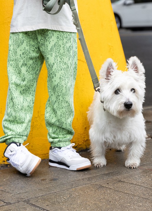 Mini Rodini Tapered fit joggingbroek met panterprint - voorkant 2 groen