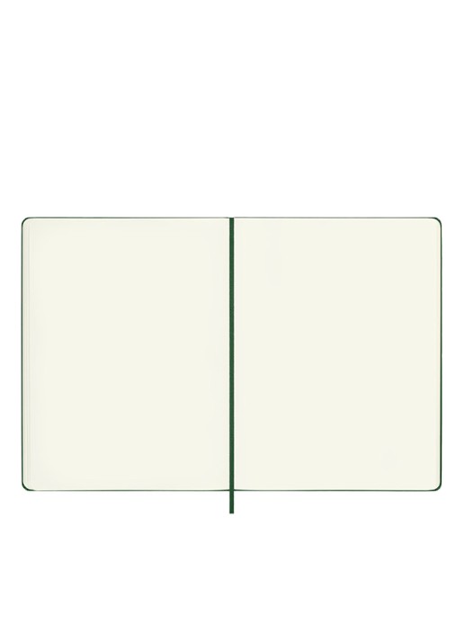 Moleskine Notitieboek blanco papier 25 x 19 cm  - voorkant 2 donkergroen
