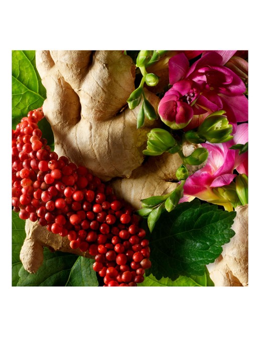 Molton Brown Fiery Pink Pepper Bodylotion - detail 4 undefined