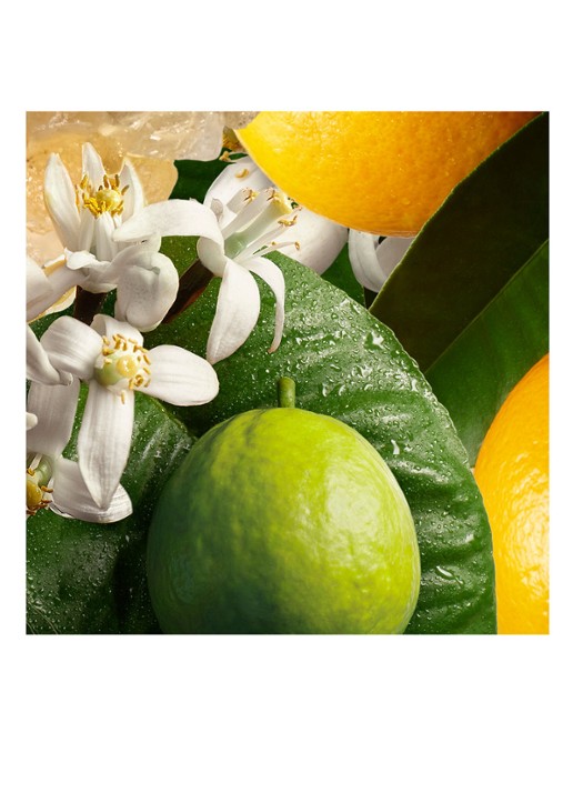 Molton Brown Orange & Bergamot Hand Lotion - handcrème - detail 4 undefined
