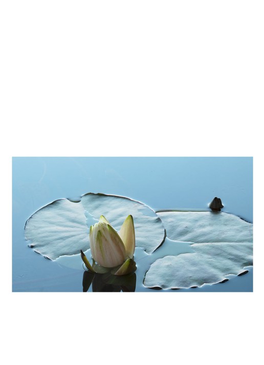 Montale Herbal Aquatica Eau de Parfum - detail 2 undefined