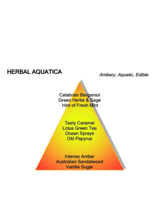 Montale Herbal Aquatica Eau de Parfum - detail 3 undefined