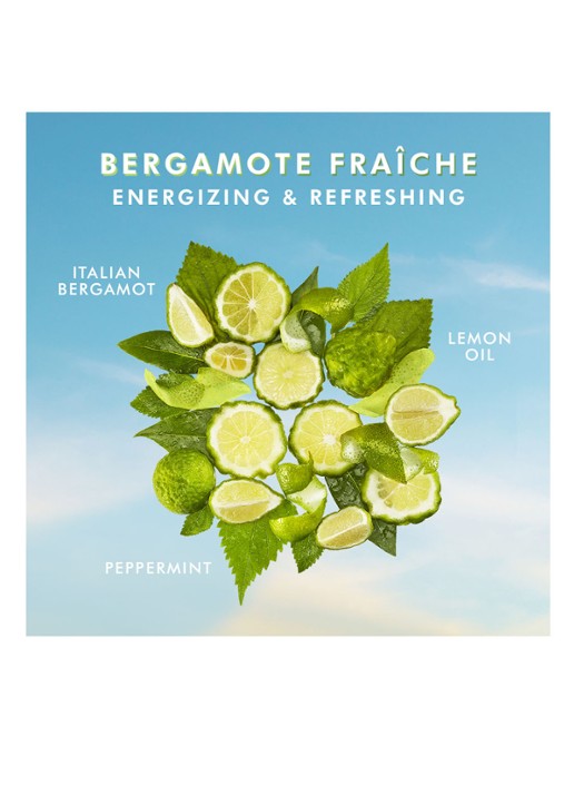 Moroccanoil Shower Gel Bergamot Fraiche - douchegel - detail 6 undefined