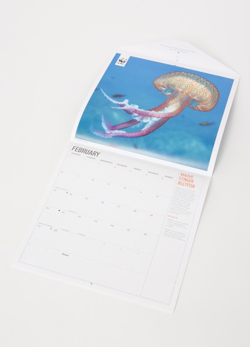  Oceans wwf kalender 2023 - voorkant 2 zeegroen