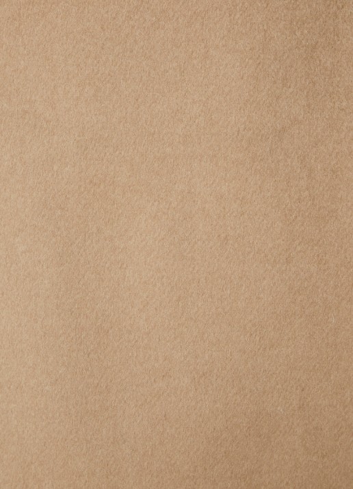 Phase Eight Livvy trenchcoat in wolblend - detail 2 camel