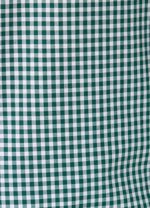 Ralph Lauren Custom fit overhemd met ruitdessin en logoborduring - detail 4 pine/white / groen