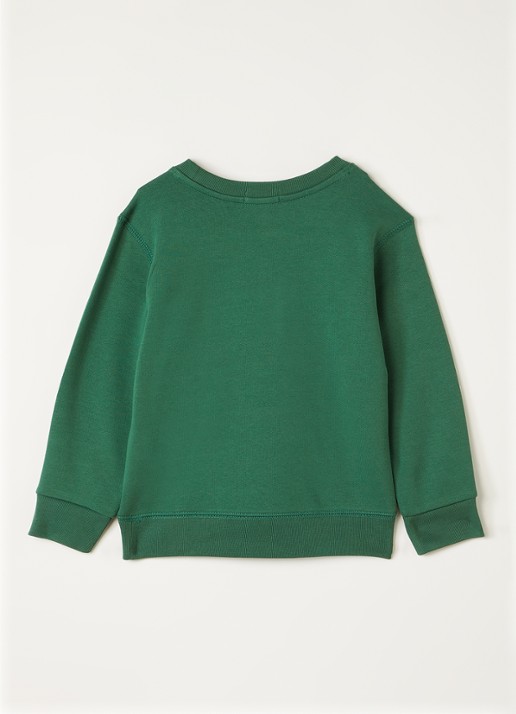 Ralph Lauren Sweater met logoborduring - voorkant 4 groen