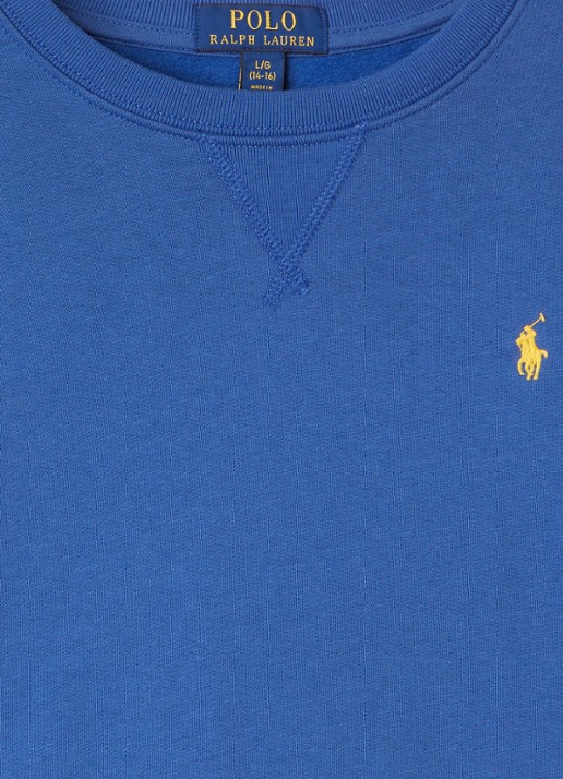 Ralph Lauren Sweater met logoborduring - detail blauw