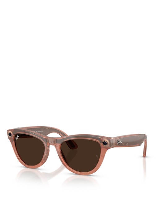 Ray-Ban Meta Skyler zonnebril RW4014