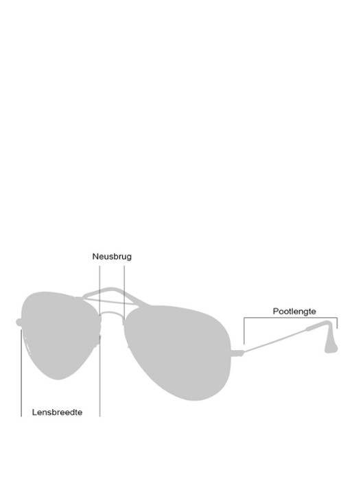 Ray-Ban Zonnebril Aviator Classic RB3025 - detail zilver