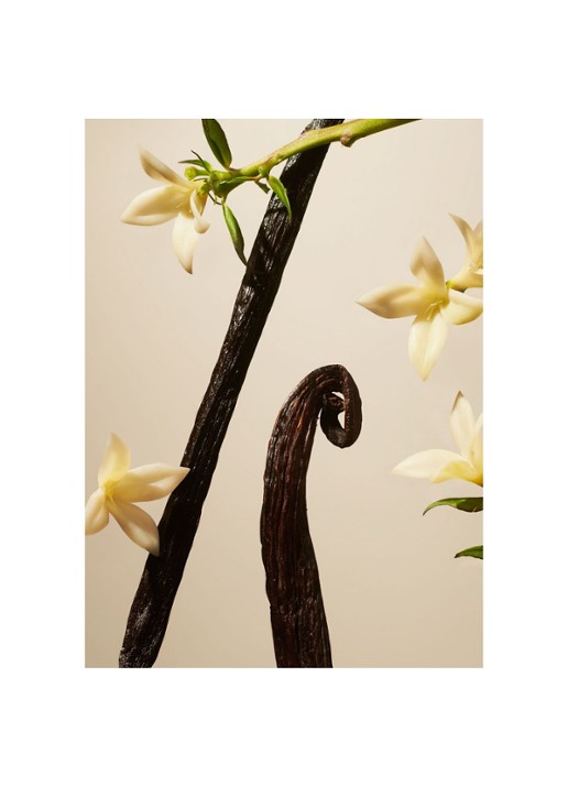 Rituals Suede Vanilla Home Perfume - huisparfum - detail undefined