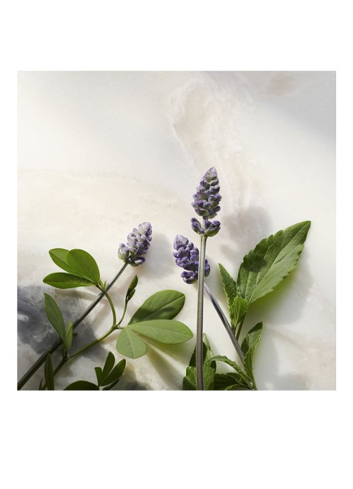 Rituals The Ritual of Namaste  Anti-ageing Night Cream Refill - nachtcrème navulling - detail 5 undefined
