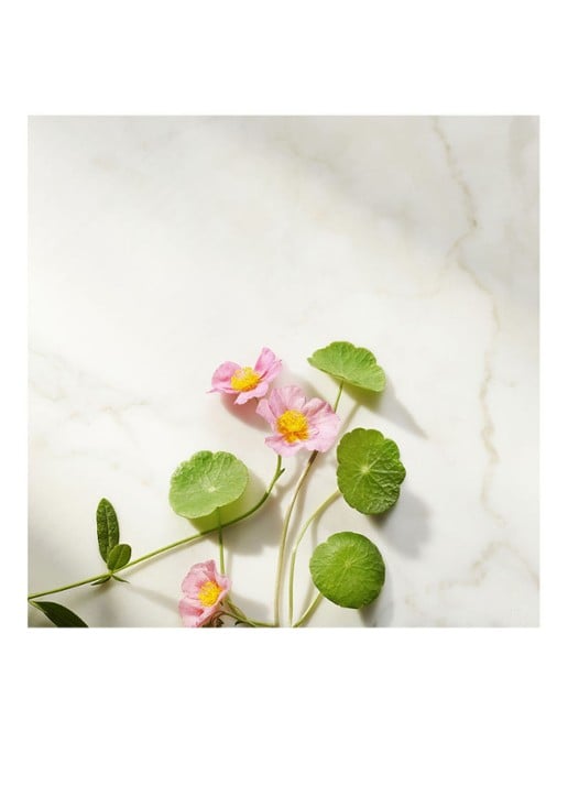 Rituals The Ritual of Namaste Firming Day Cream Refill - dagcrème navulling - detail 5 undefined