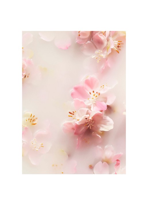 Rituals The Ritual of Sakura Recovery Hand Balm - handcrème - detail 3 undefined