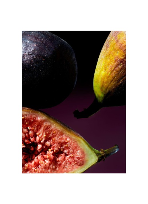 Rituals Wild Fig Parfum d'Interieur - huisparfum 500 ml - detail 2 zwart