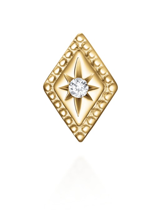 Rosefield Solitaire Star oorknopjes van 14 karaat geelgoud - detail 2 goud