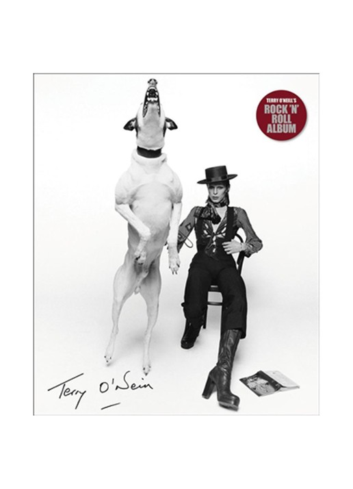 Sean Smith Terry O'Neills Rock 'n 'Roll Album