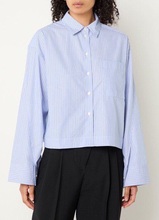 Selected Dannie blouse met streepprint