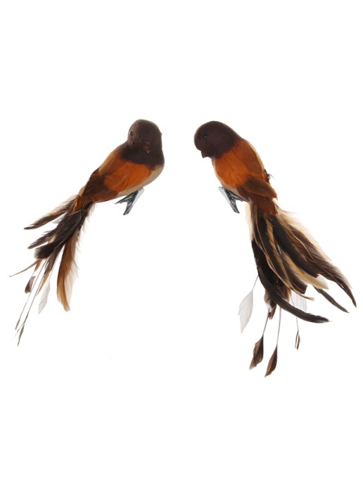 Shishi Vogel kerstornament met clip 25 cm set van 2