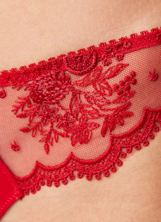 Simone Pérèle Intrigue slip met mesh - detail 5 rood