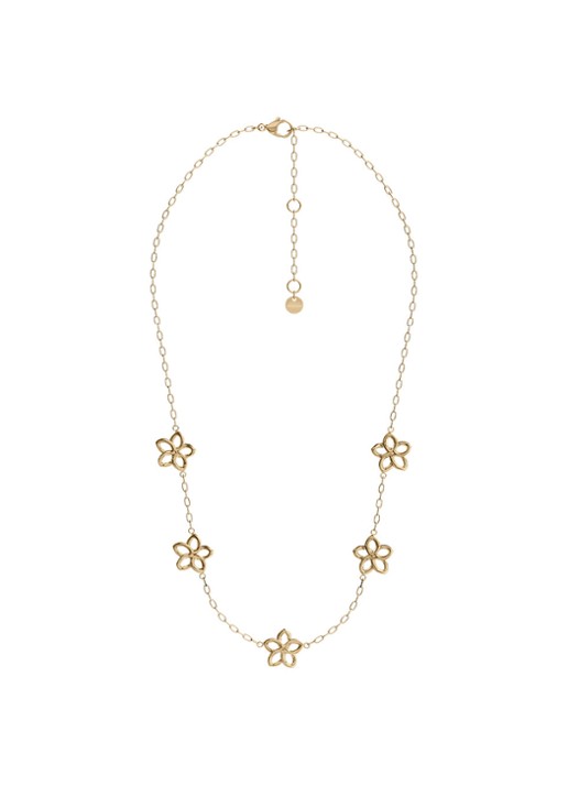 Skagen Moderne Ikon ketting SKJ1910710 - detail goud