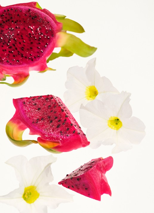 Sol de Janeiro Beija Flor Elasti-Body Oil - huidolie - detail 5 undefined