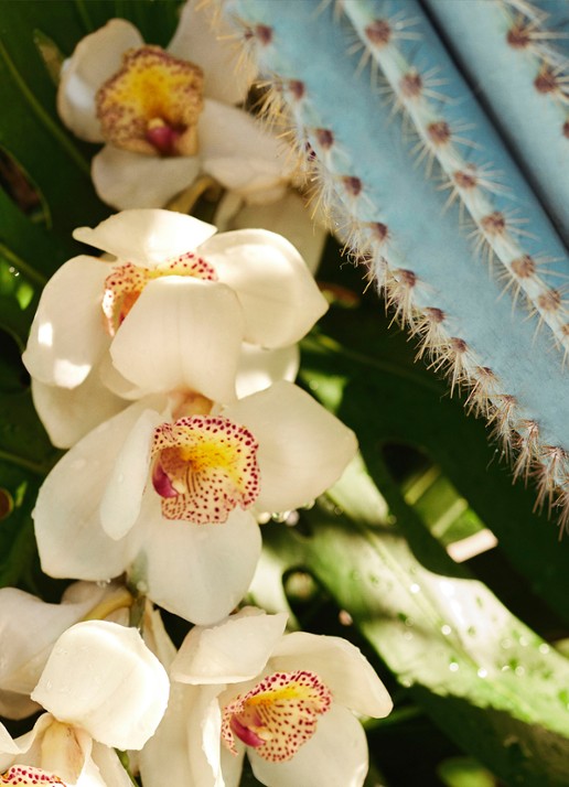Sol de Janeiro Refresco Paraiso Perfume Mist - parfumspray - detail 2 undefined