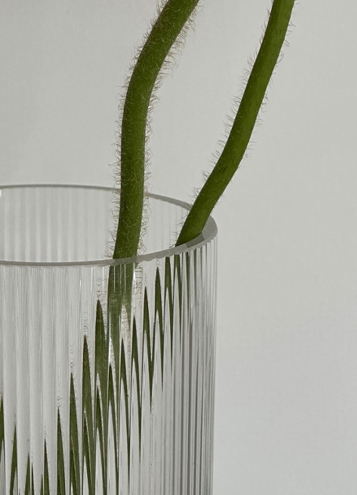 Stelton Pilastro vaas 21 cm - detail 4 transparant