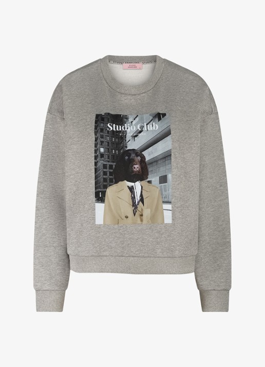 Studio Anneloes Sweater met print - voorkant grijsmele