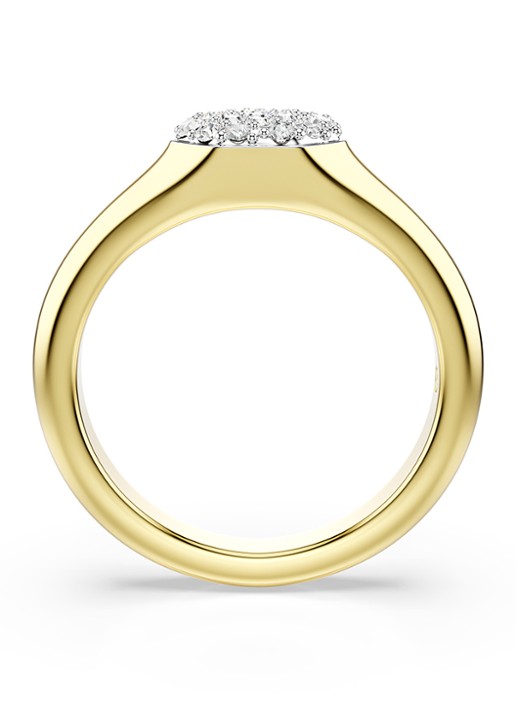 Swarovski Dextera ring verguld 58 - detail 4 goud