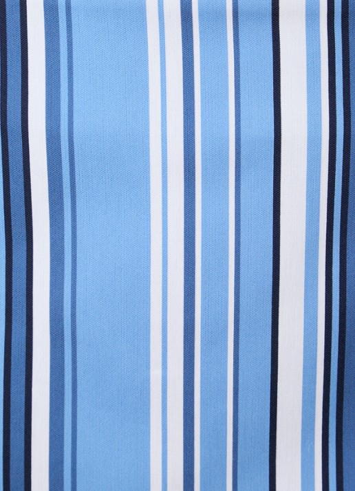 The Frankie Shop Hera minirok met streepprint - detail 5 blauw