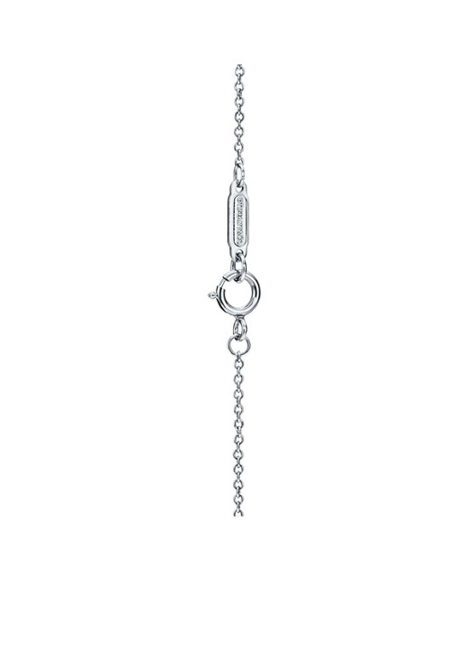Tiffany & Co. Solitaire ketting van platina met diamant 53963 - detail 2 undefined