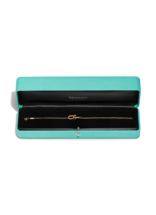 Tiffany & Co. Tiffany HardWear Double Link armband van 18 karaat geelgoud 85148 - detail 5 undefined