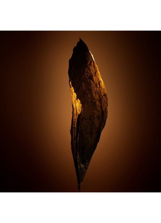 TOM FORD Tobacco Chocolat Eau de Parfum - detail 2 undefined