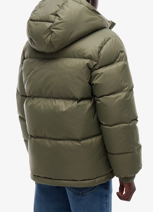 Tommy Hilfiger Essential puffer jas met capuchon - achterkant 2 ghost fern-pli
