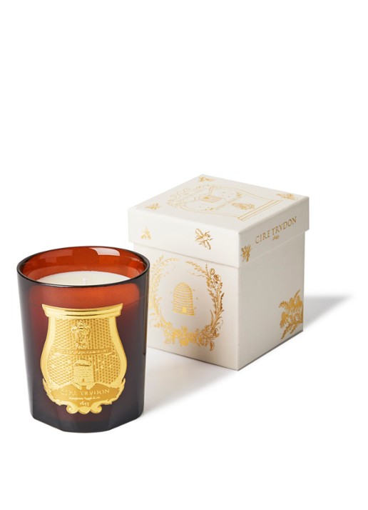 Trudon Bougie Cire geurkaars 270 gram - detail oranjebruin