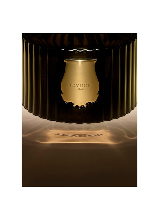 Trudon Ernesto geurstokjes 350 ml - detail 5 multicolor
