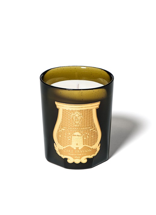 Trudon Gabriel geurkaars 270 gram