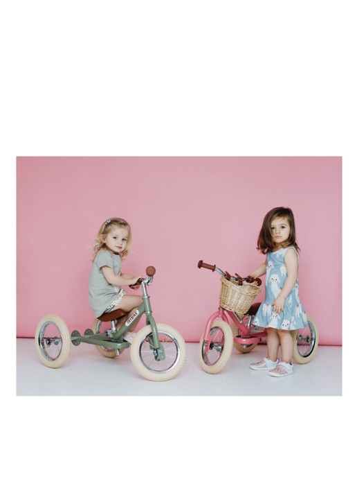 Trybike 2-in-1 loopfiets van staal - detail 2 roze
