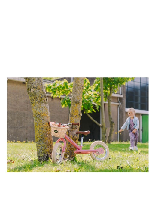 Trybike 2-in-1 loopfiets van staal - detail 3 roze