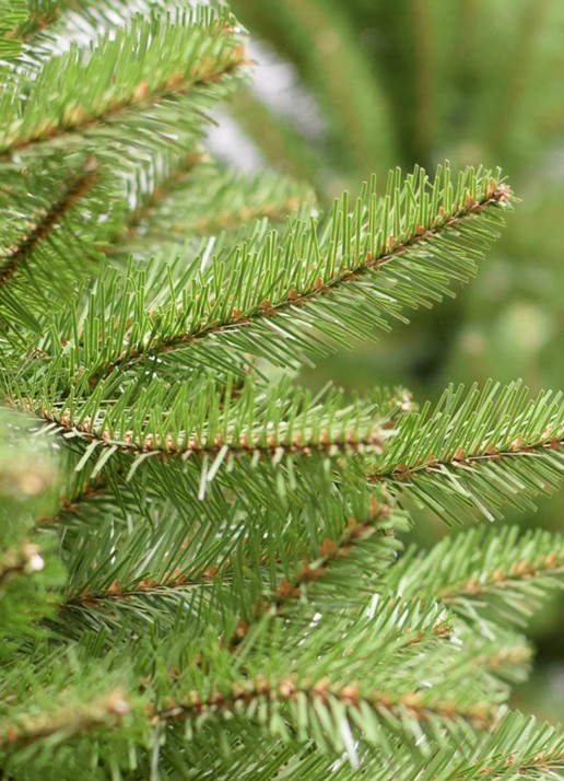 Van Der Gucht Dunhill Fir kunstkerstboom 228 cm - voorkant 3 donkergroen
