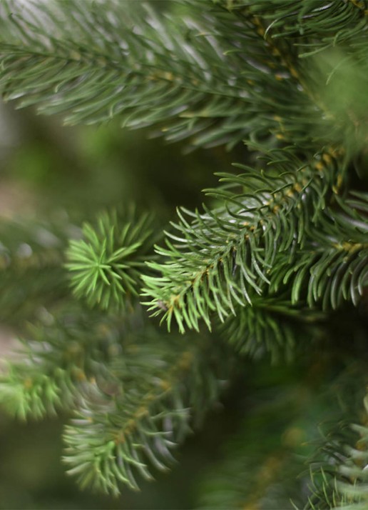 Van Der Gucht Kentucky Deluxe kunstkerstboom met houten voet 183 cm - voorkant 3 groen