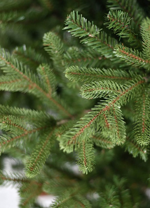 Van Der Gucht Vermont kunstkerstboom 183 cm - voorkant 2 groen