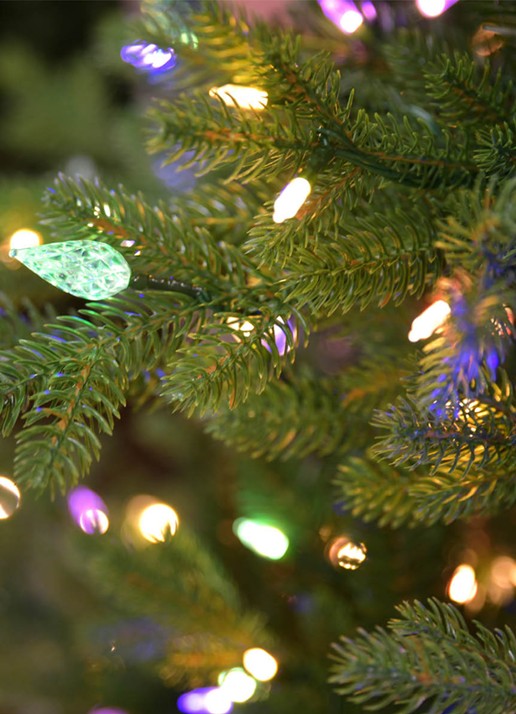 Van Der Gucht Vienna Fir kunstkerstboom met LED verlichting 228 cm - voorkant 2 donkergroen