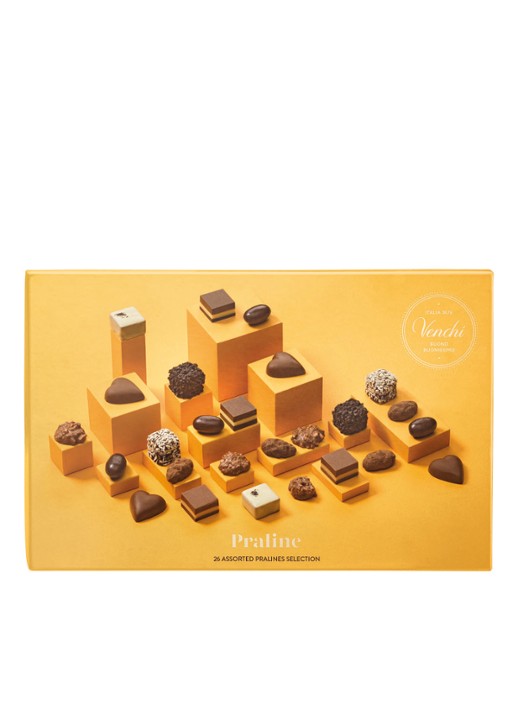 Venchi Chocolade Large Pralines giftbox 225 gram