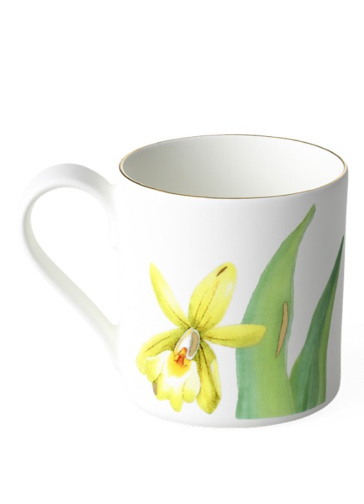 Villeroy & Boch Amazonia espressokopje 8 cl - voorkant 2 gebroken wit