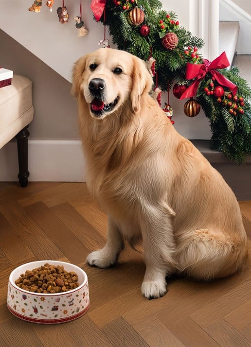 Villeroy & Boch Toy's Delight voerbak voor hond 19,6 cm - detail 4 rood