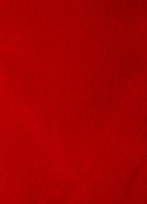 Zadig&Voltaire Vavy blazer van fluweel met klepzakken - detail 4 rood