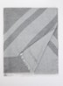 Sjaal met print en logo 135 x 75 cm - Grijs